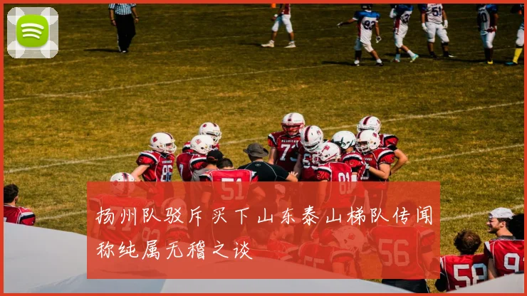 扬州队驳斥买下山东泰山梯队传闻称纯属无稽之谈