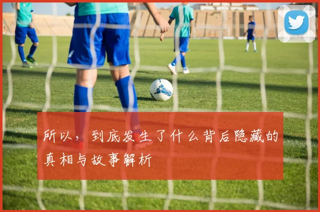 所以，到底发生了什么背后隐藏的真相与故事解析